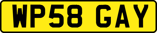 WP58GAY