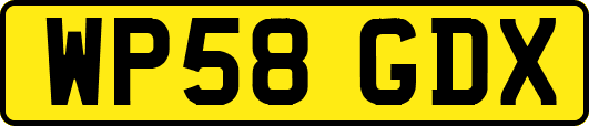 WP58GDX