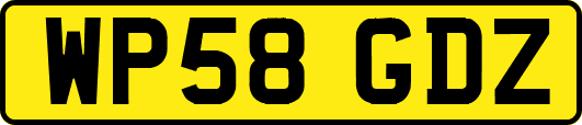 WP58GDZ