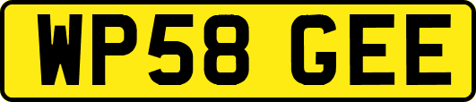 WP58GEE