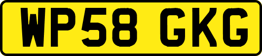 WP58GKG