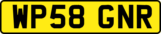 WP58GNR