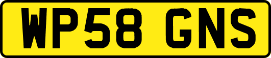 WP58GNS