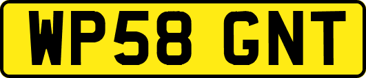 WP58GNT