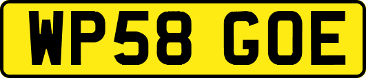 WP58GOE