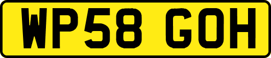 WP58GOH
