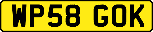 WP58GOK