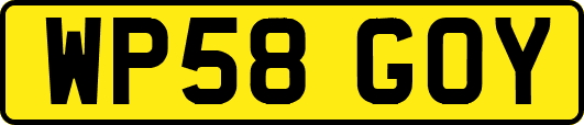 WP58GOY