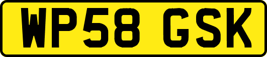 WP58GSK