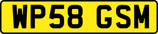 WP58GSM
