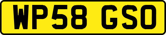 WP58GSO