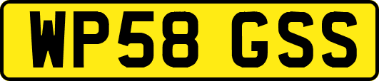 WP58GSS