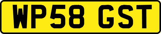 WP58GST