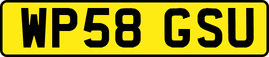 WP58GSU