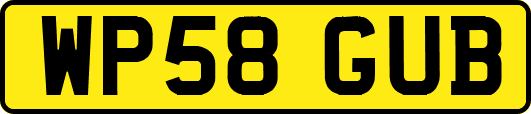 WP58GUB
