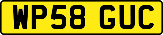 WP58GUC