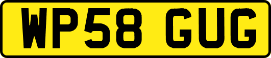 WP58GUG