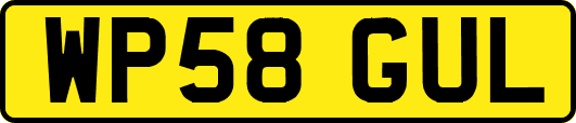 WP58GUL