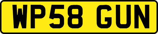 WP58GUN