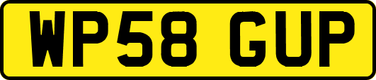 WP58GUP
