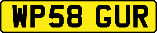 WP58GUR