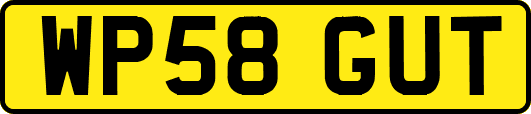 WP58GUT
