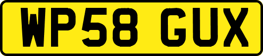 WP58GUX