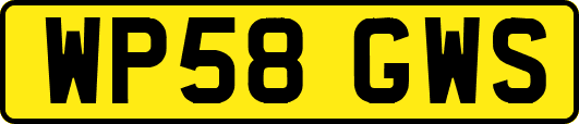 WP58GWS