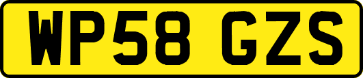 WP58GZS
