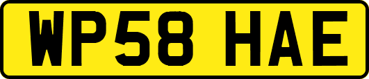 WP58HAE