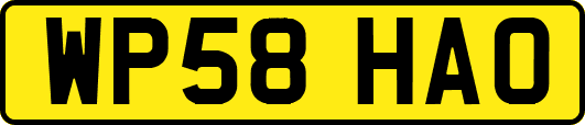 WP58HAO