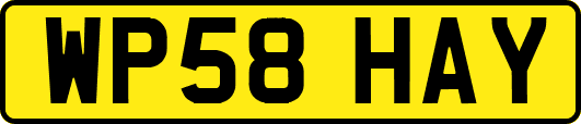 WP58HAY