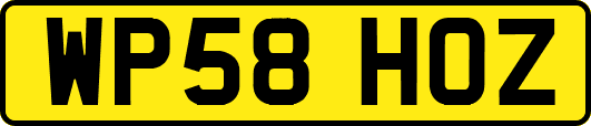 WP58HOZ