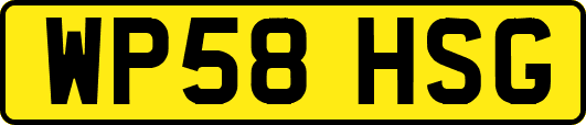 WP58HSG