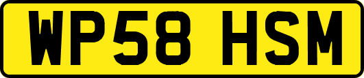 WP58HSM