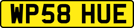 WP58HUE