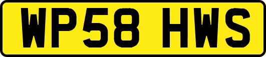 WP58HWS