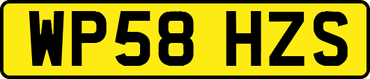 WP58HZS