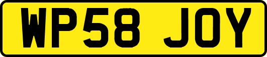 WP58JOY