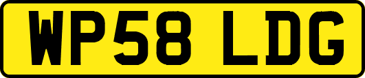 WP58LDG