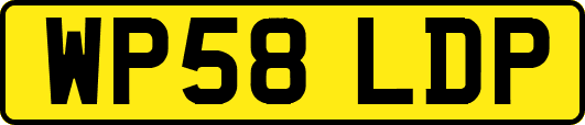 WP58LDP