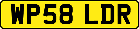 WP58LDR