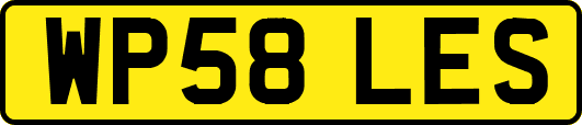 WP58LES
