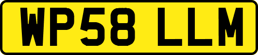 WP58LLM