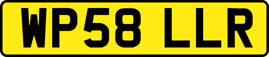 WP58LLR