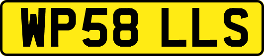 WP58LLS
