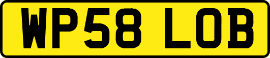 WP58LOB