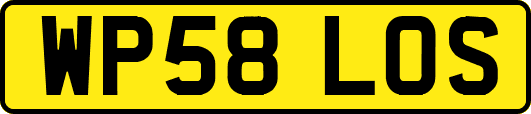 WP58LOS