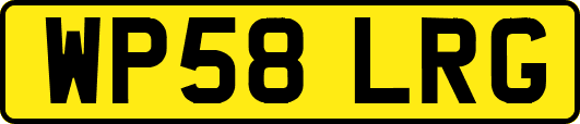 WP58LRG