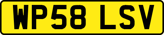WP58LSV